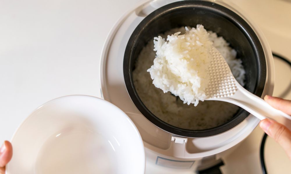 ARROZ NA PANELA ELÉTRICA