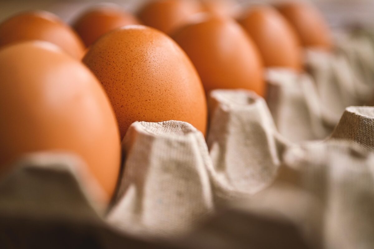 Ovos
